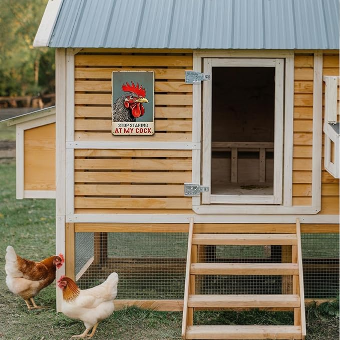 Funny Chicken Gifts for Women, Stop Staring at My Cock Aluminium Plate Signs, Humorous Chicken Decor for Home Farmhouse Coop, Rustic Wall Art Decorations 8 X 12 Inch Metal Signs