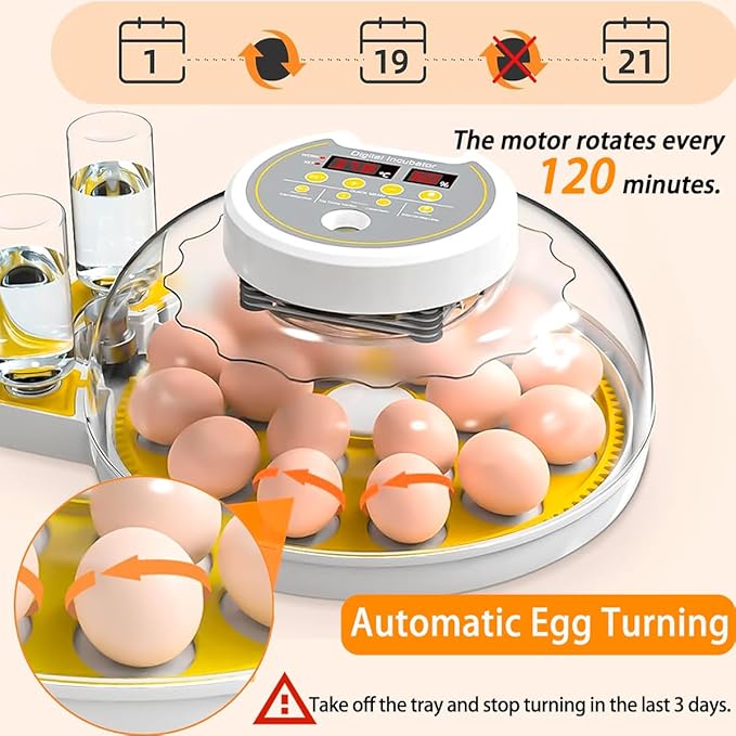 18/60 Incubator for Hatching Eggs, Egg Incubators with Humidity Display, Egg Candler, Automatic Egg Turner, Poultry Egg Incubator for Hatching Chicken Duck Bird Quails- Yellow 2 Egg Trays