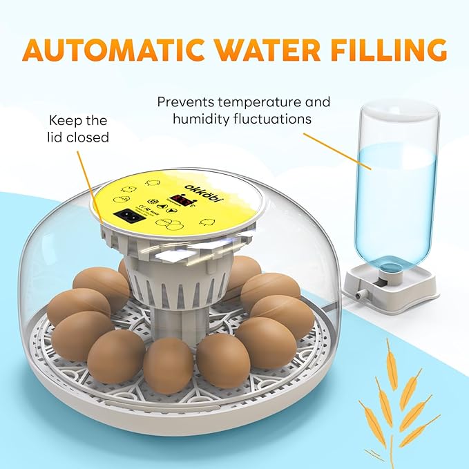 Okkobi M12 Egg Incubator with Automatic Turner and Humidity Control - 12/24 Eggs, 360° View, Easy to Use and Clean - Incubadora de Huevos de Gallina - Incubators for Hatching - White & Yellow