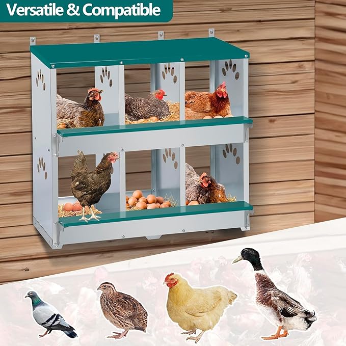 Rustproof Galvanized Steel Build - Chicken Nesting Box for Small Animals - 6 Compartments, Large Vented Holes, Easy Clean, Secure Egg Collection, Wall-Mounted - Green, 6 Compartments ZW