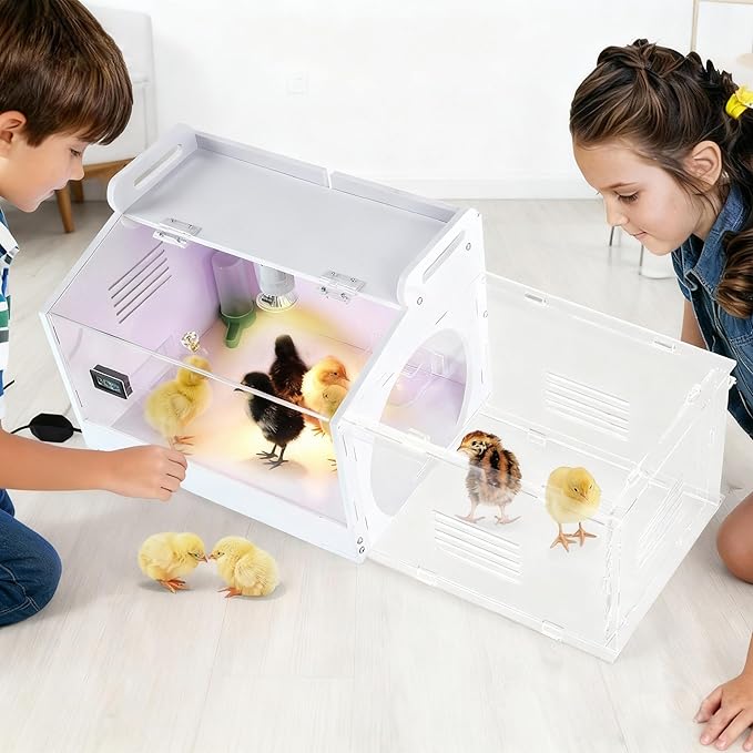 Iarge-Scale Chick brooder Box Quail Cage Egg Incubator Chick Starter Kit Chicken Brooder 20-35