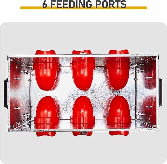 Automatic Chicken Feeder No-Waste, Metal Poultry Feeder Large Capacity for Chickens, Geese, Ducks, Turkeys, Quails (6 Ports)