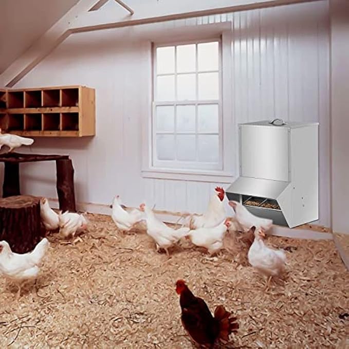Automatic Chicken Feeder System - 30-50lb Capacity Galvanized Feeder Metal Trough for Poultry and Rabbits,30lb