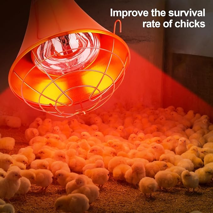 Honoson 4 Pcs 250w Chicken Heat Lamp for Winter Chicken Coop Heater Brooder Heater with Heat Lamp Aluminum Alloy Shade & 6.6' Hanging Chain Radiant Chick Coop Accessories Heated Warmer for Chick Pet