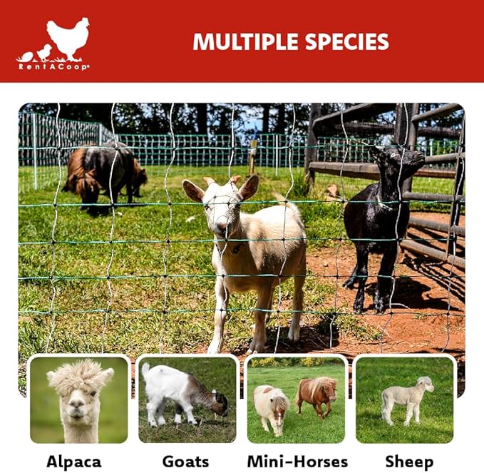 RentACoop Electric Anti-Predator Goat Fence - Suitable for Goats and Larger Animals - Energizer Not Included - 168' L x 42" H