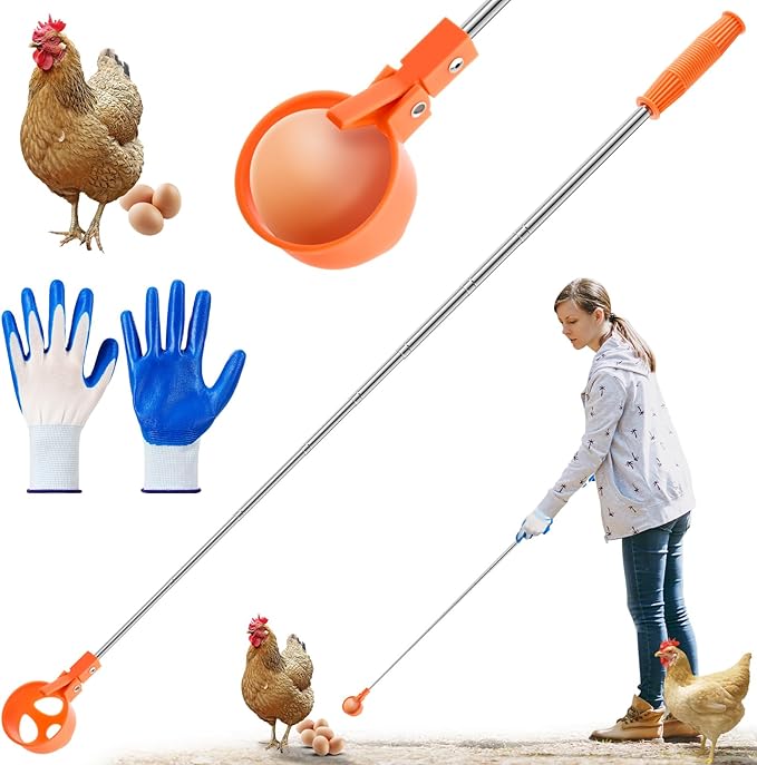 Lounsweer Egg Grabber for Chicken Eggs,15.7-76inch Extendable Stainless Steel Egg Picker Tool with (1pcs Extended Handle&1pair Non-Slip Gloves) for Picking Eggs from Coop, Poultry Nest, and Farm Use