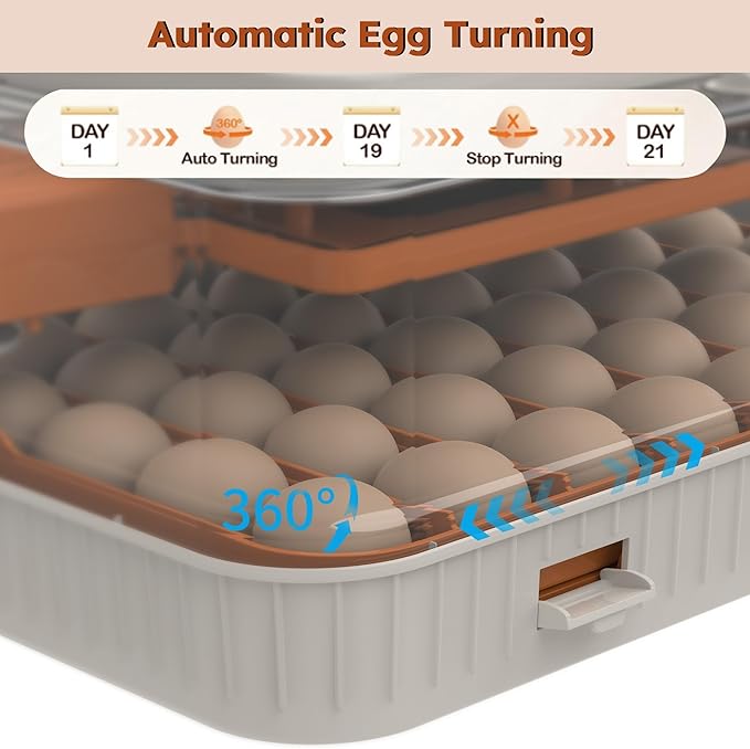 56 Egg Incubator with Automatic Turning & Humidity Control – Digital Poultry Hatcher for Chicken, Duck, and Goose Eggs – Built-in Egg Candler & Auto Water Refill, 360° Clear View