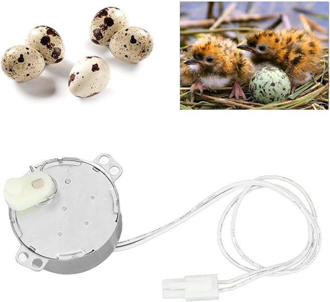 Replacement Egg Turner Motor, 4W Egg Turner Rotator Incubator Motor Electric Synchron Motor with Connector for Chickens Ducks Goose Birds Egg Hatching (100-120v)