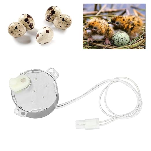 Egg Tray Turning Motor Automatic Egg Turning Tray Tool Portable Synchronous Turntable Motor for Incubating Chicken Duck and Quail Egg (100-120v)