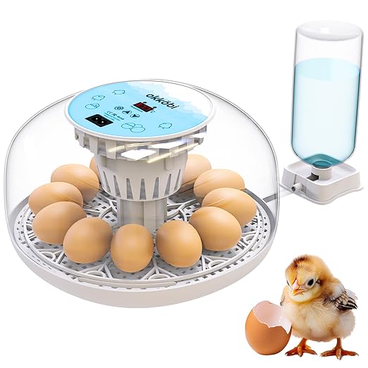 M12 Incubators for Hatching Eggs - Egg Incubator with Automatic Turner and Humidity Control - 12/24 Eggs - Incubadora de Huevos de Gallina - Easy to Use and Clean - 360° View - Blue