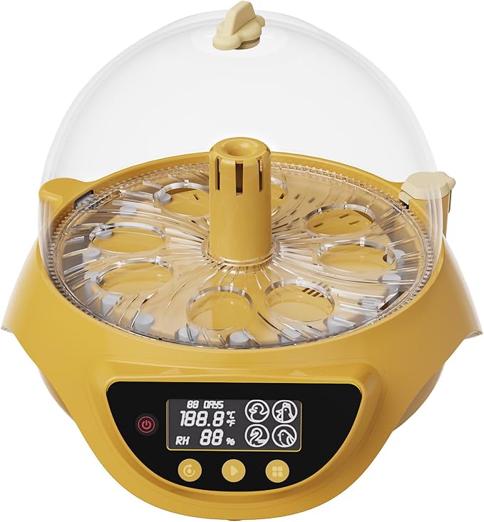 Quail Incubator with Automatic Egg Turning,8 Eggs, Smart Temperature Control, 360°View, Air Vent Circulated, Auto Mini Small Egg Incubator for Hatching Quail Bird Parrot Reptile
