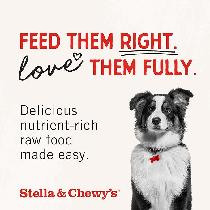 Stella & Chewy's Freeze-Dried Raw Beef Meal Mixers- Dog Food Topper and Mixer - Made with 95% Grass-Fed Beef,Organs & Bone - Perfect for Picky Eaters - Grain-Free - 1 oz,(Pack of 2)
