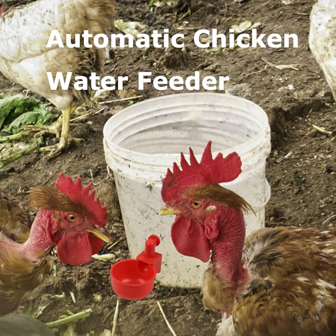12 Pack Large Automatic Chicken Waterer Cups with Mounting Hole Opener, Plastic Chicken Water Feeder Chicken Water Bowls Poultry Water Feeder Kit for Chicks, Duck, Goose, Turkey and Bunny