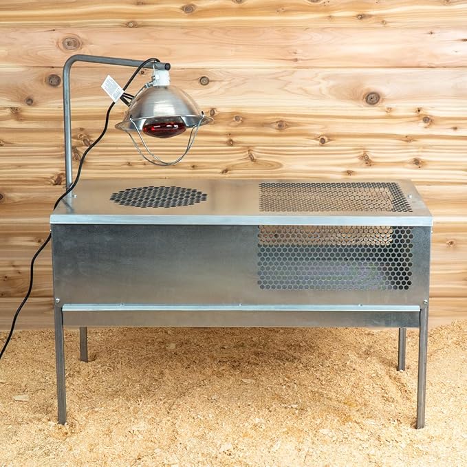 Stromberg's Stand-Up Chick Brooder, Durable Galvanized Steel & Wire, Ventilated Poultry Habitat, Easy Cleaning & Maintenance, Holds Up to 50 Chicks, Heat Lamp Stand Included (Lamp Sold Separately)