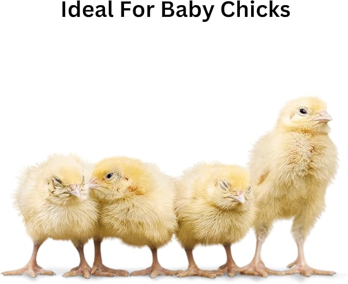 Premium Pine Bedding | Dust Free, Soft Shavings | All Natural | Chicken Coops | Animal Bedding | Small Animals | Odor Control (8 Quart)