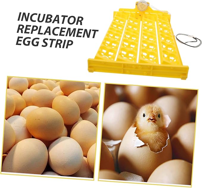 12v Automatic Incubator Tray Chicken Duck Goose Quail Egg Turning for Hatching