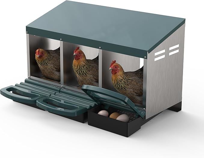Chicken Nesting Box 3 Hole, Galvanized Steel Nest with Roll Away Egg Collection & Swing Perch, Easy-Clean Laying Box for Hens, Heavy Duty Design for Chicken Coop