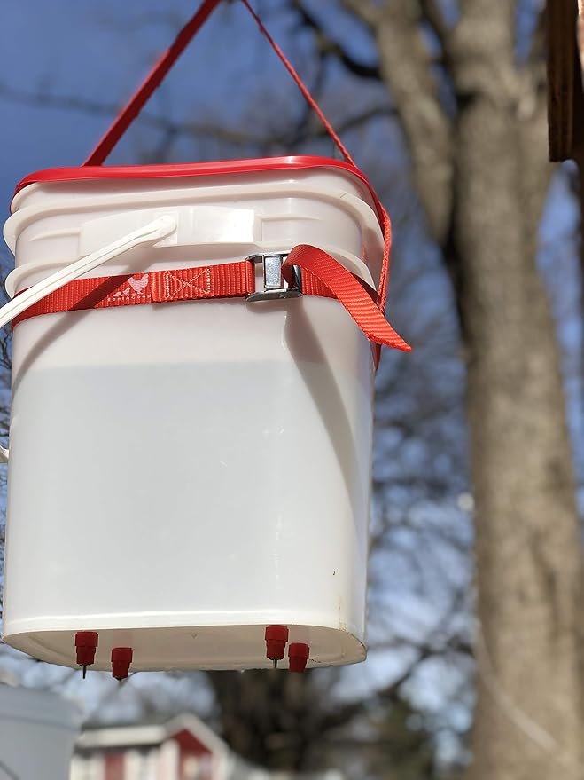 RentACoop Hanging Strap for Chicken Waterers and Feeders - Fits Every Size of Round or Square Bucket