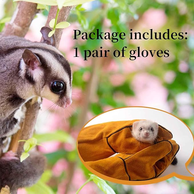 Sugar Glider Bite Proof Gloves Leather Long Animal Handling Glove for Dog Cat Scratch Bird Hedgehog and Hamster