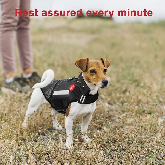Dog Protection Vest Harness Built-in Bendable Lightweight Steel Plate Against Attacks by Coyote, Hawk, Raptor, and Birds of Prey