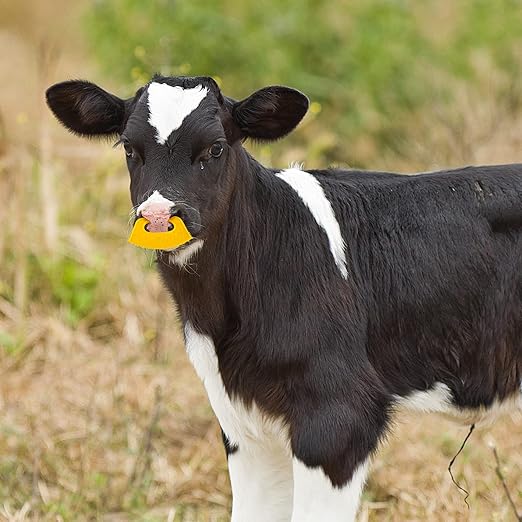 PAGOW 10 Pack Calf Weaner, Cattle Cow Weaning Tool, Farm Livestock Bovine Nose Clip, Cow Nose Thorn Milking Stop