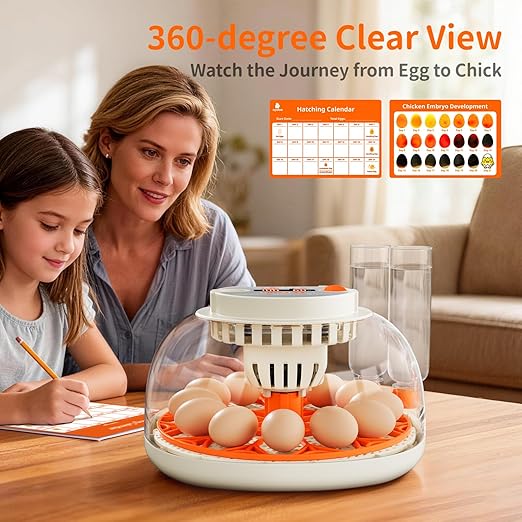 Egg Incubator with Temperature and Humidity Control, Automatic Egg Turning, Egg Candler, External Water Bottle, Adjustable Air Vent, 360° Clear View, for Chicken, Duck & Quail Eggs, APDOE HatchPro 12