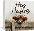 Highland Cow Sign - Farmhouse Western Animal Office Kitchen Bedroom Decor,Rustic Farm Hey Heifers Home Decor Signs,highland Cow Gifts For Women,6x6 Inch