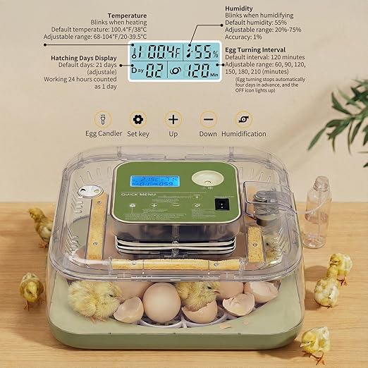 Winado Incubators for Hatching Eggs, 12 Egg Incubator with Automatic Egg Turning, Temperature & Humidity Control, Egg Candler, Automatic Water Filling and Day Counter for Eggs Hatching