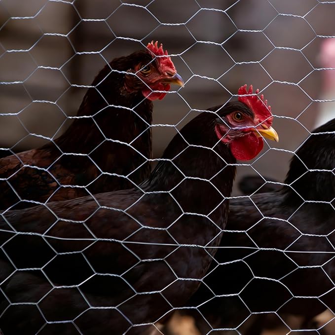 Chicken Wire Fencing,16inx66ft Poultry Mesh Fencing Wire Netting Galvanized Hexagonal Mesh for Floral Arrangements,Craft Projects,Pet Rabbit Chicken Fencing