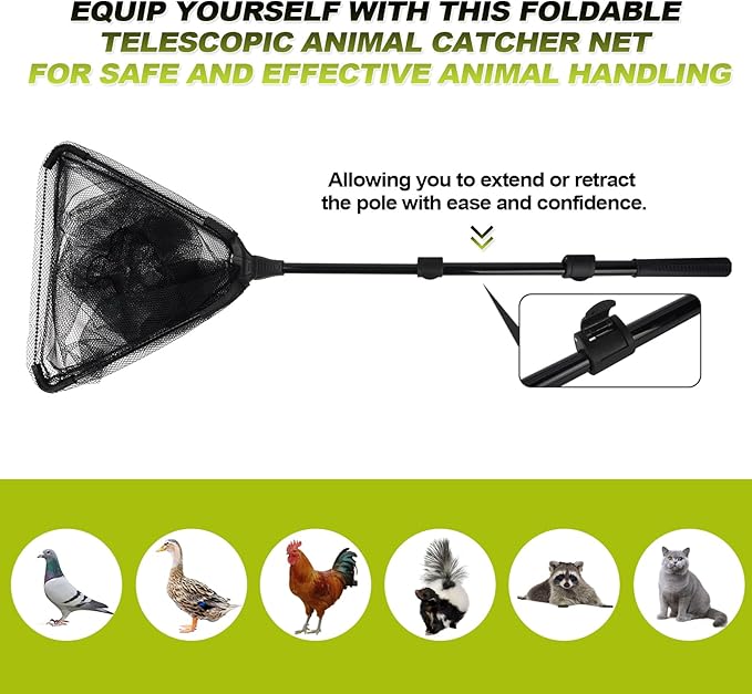 Chicken Catch Net, Animal Catcher Tools, Animal Catching Capture Net Farm Trapping Pole for Bird Cat Chicken Bat Duck Goose Raccoon Trap - Withstand 15lb