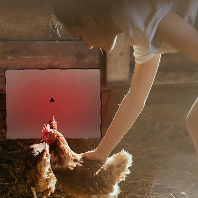 PINNKL Dual Sided Chicken Coop Heater for Winter, 2 * 100 Watts Chicken Heater with Independent Switch & Digital Display, Two Ways to Use, for Chicks Poultry Pets