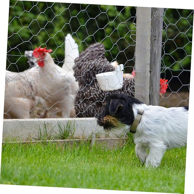 1 Roll Heavy Duty Galvanized Chicken Coop Wire Fencing X Poultry Barrier Netting for Garden Easy Installation Secure Enclosure Improved Airflow and Ventilation