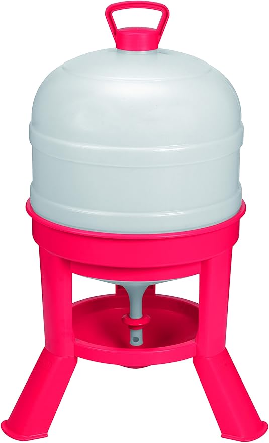 Little Giant® Plastic Dome Waterer | Heavy Duty Plastic Gravity Fed Poultry Waterer Container Tank | Chickens, Ducks & Other Birds for Hobbyists, Farmers and Ranchers | 8 Gallon