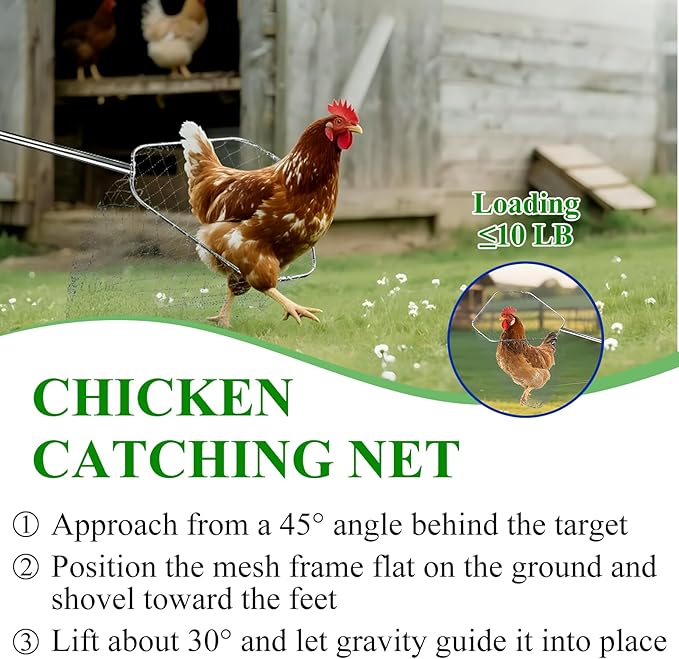 Chicken Catching Net 2 Pcs, Chicken Net for Poultry Supplies, Adjustable from 36.2" to 83.4" Telescopic Pole with Chicken Leg Hook, Fishing Net Suitable for Bird, Butterfly, Duck, Goose