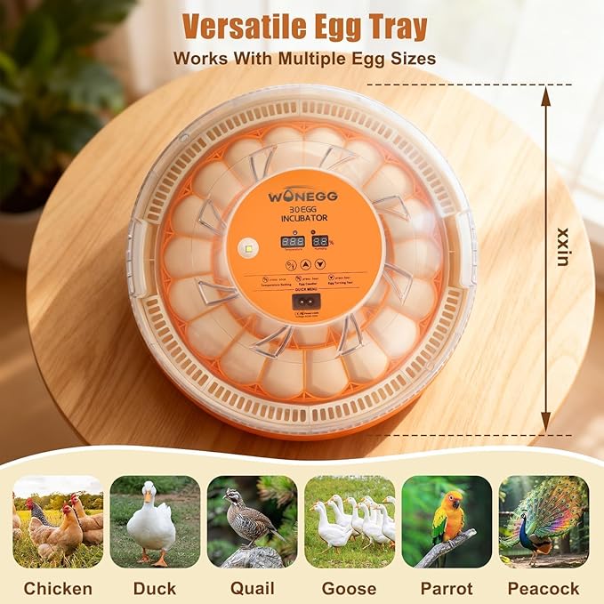 Nest II - 30 Egg Incubator for Large-Batch Hatchers, Hands-On Control, Auto Egg Turning, Manual Water Fill, Consistent Temp, Real-Time Display, Candler for Chicken, Goose, Duck, Quail, Pigeon, Turkey