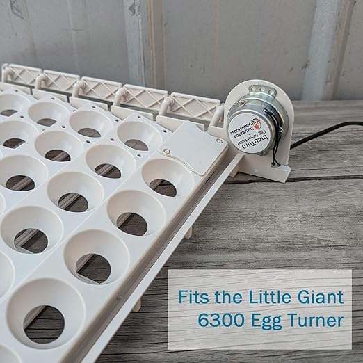 Incubator Warehouse Replacement Egg Turner Motor - High Performance Turner for Incubator - Eggs Turning for Little Giant or HovaBator - Rotating Motor for Chickens Ducks Goose