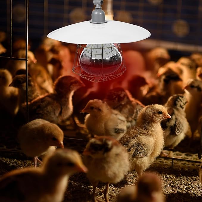 250W Chicken Coop Heater Heat Lamp for Chickens Livestock Brooder Lamp with Metal Guard Waterproof Heating Light for Dog House Winter Chick Poultry