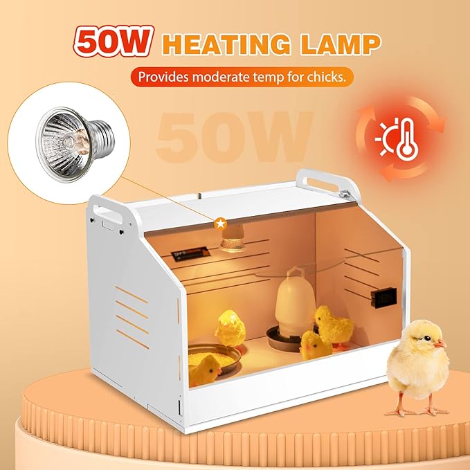 Chicken Brooder Box for Chicks, Quail Brooder with Heating Lamp, 2 Mode Thermometers Warms Up to 10 Chicks for Duckling Parrot Lizard