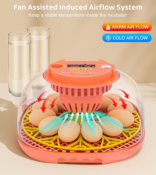 12 Egg Incubator for Hatching Eggs, Smart Temperature and Humidity Control, Automatic Egg Turning, Incubator for Hatching Chicken, Quail, Duck Eggs, 360° Clear View for Home, Classroom, Farm