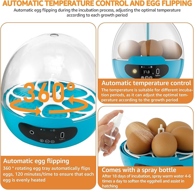Egg Incubator with 360° Auto Egg Turning and Temperature Control Practical Incubator Smart Egg Incubator for Hatching 6 Eggs Chicken Incubator with LED Egg Light for Hatching Chicks Quails Ducks