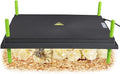 Chick Brooder Heating Plate -16 x 22 Inch Chicken Brooder Heater Plate for Chicks with Adjustable Height & Angle - 50W Safer Than Brooder Lamp Warms Up to 50 Chicks