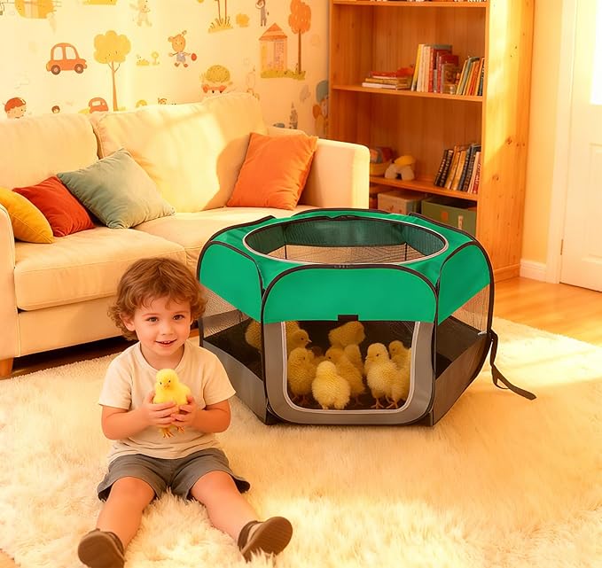Pop Up Chicken Brooder Starter Kit - Easy to Assemble, Portable & Easy to Clean Brooder Box for Baby Chicks & Ducklings