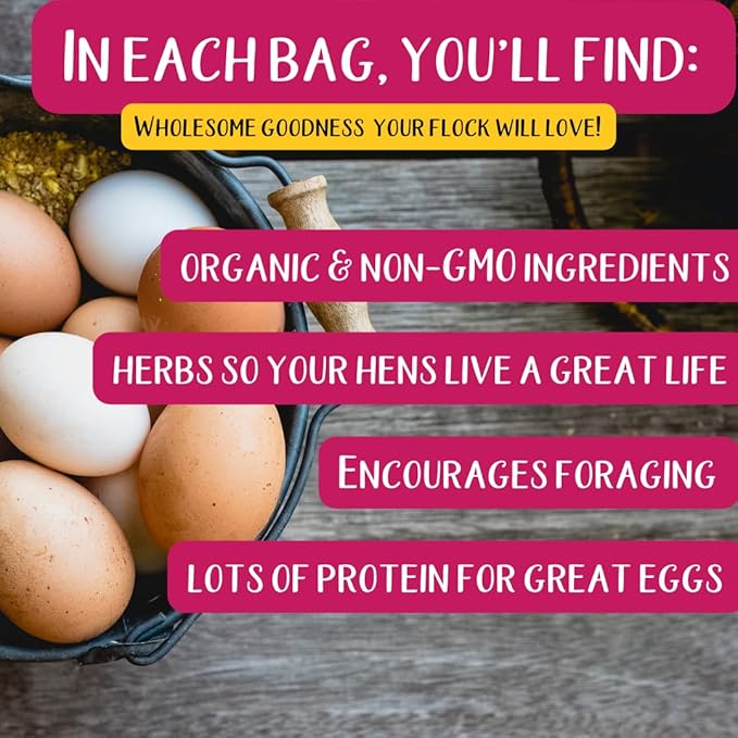 Pampered Chicken Mama Chicken Feed Mash - Premium Layer Feed Pellets - High Protein & High Calcium Chicken Grower Feed Supplies (10 Pounds)