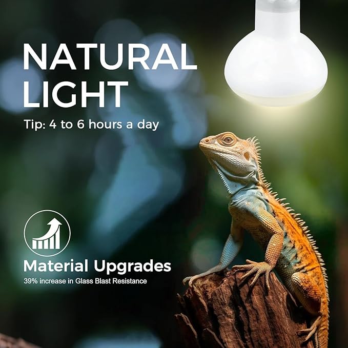 Reptile Heat Lamp 75W, 2 Pack Intense UVA Basking Light Bulbs, Flat-Base Heat Emitter, Heat Lamp Bulb for Reptile Chickens Pet Brooder