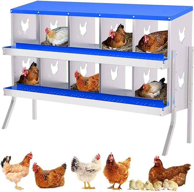 10-Compartment Chicken Nesting Box with Removable Tray - Metal Laying Boxes for Hens - Egg Rollaway Design, Wall Mount Farm Fresh Egg Collector, Hen Roosting Boxes for Chicken Coops