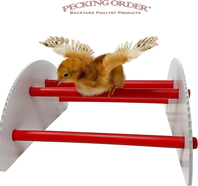 Pecking Order 9590 N-Play Chick brooder Accessory, Red