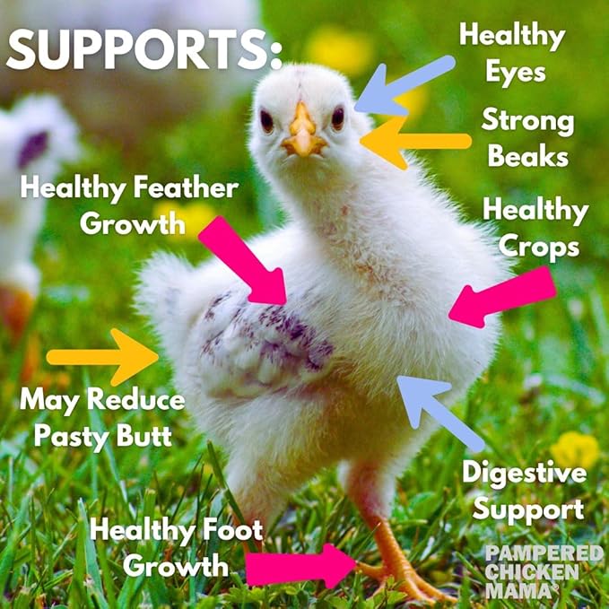 Pampered Chicken Mama Chick Starter (20 pounds) - All-Natural Backyard Baby Chick Food Supplies for Baby Chickens & Ducks - Chick Starter Grower - Herbal Blend for Chicks