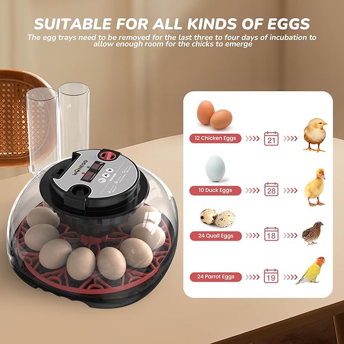 Wooden Chicken Brooder Kit & Automatic Incubator - Complete Poultry Raising Starter Solution, from Hatching to Brooding!