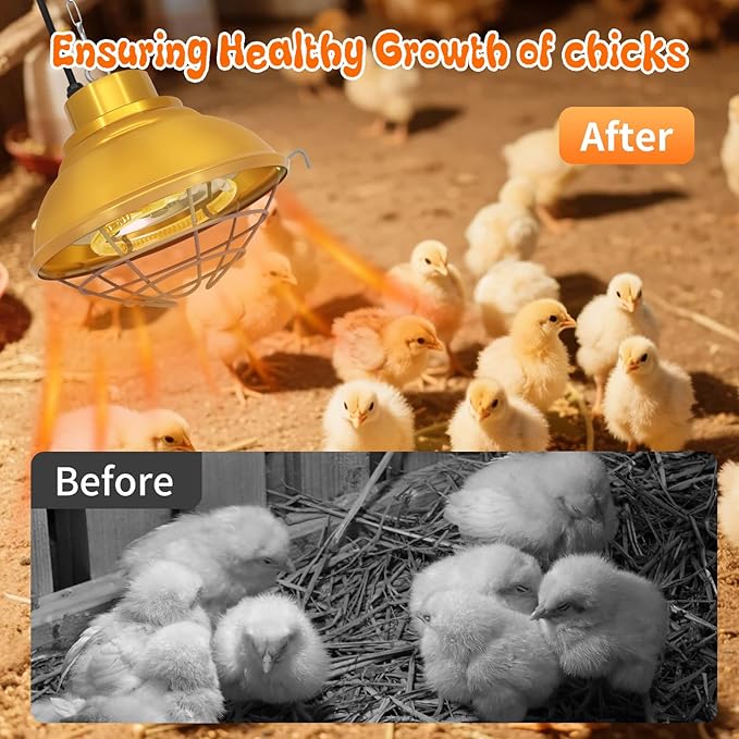Chicken Coop Heater with Carbon Fiber Bulb, 600W Heat Lamp for Chickens Brooder, Chicken Heater Lamp with Adjustable 2-Mode Temperature & Hanging Height for Chick,Puppy,Cat,Goat,Piglet (350, Watts)