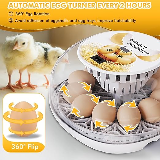 Egg incubators for Hatching Eggs, Automatic Egg Turning 12-24 Poultry Incubator with Temperature Control,Automatic Water Adding,℉ Display,360° View for Hatching Chickens, Duck,Quail,Goose Eggs (M12)
